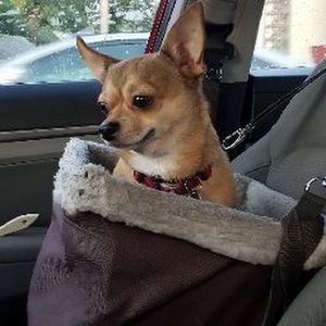 Meet your Posher, Jose